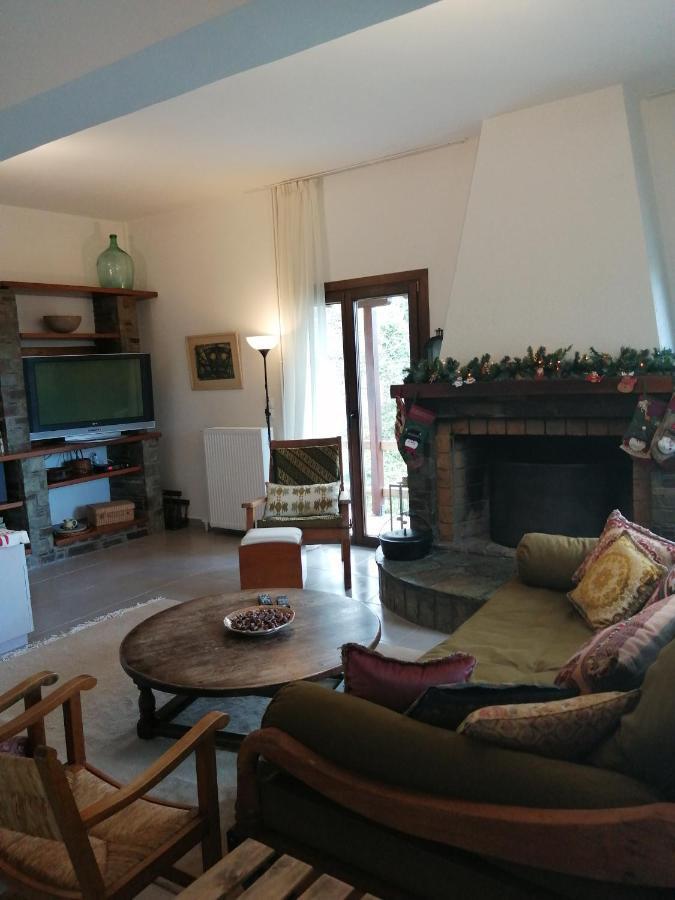 ツァガラダ Delux House In Tsangaradaヴィラ エクステリア 写真