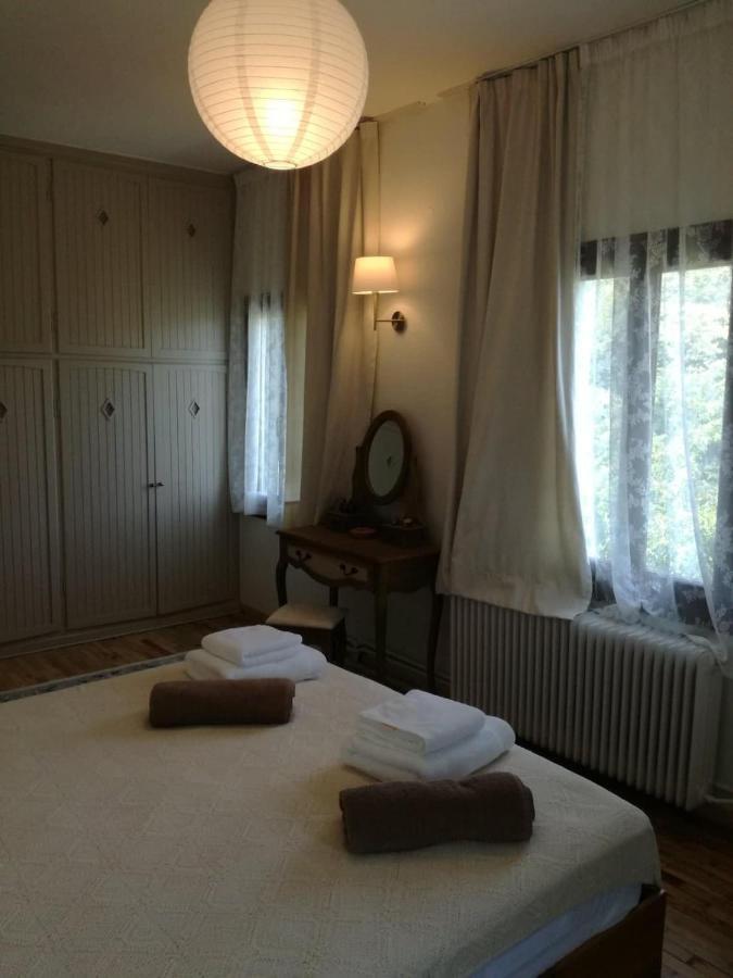 ツァガラダ Delux House In Tsangaradaヴィラ エクステリア 写真
