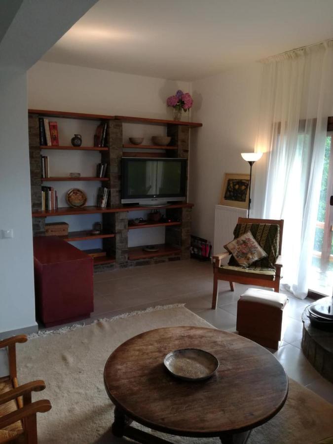 ツァガラダ Delux House In Tsangaradaヴィラ エクステリア 写真